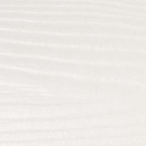 C01 White