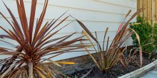 DSC00057_1