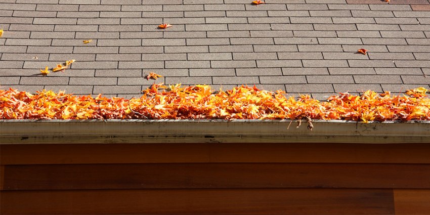 autumn-gutter-care