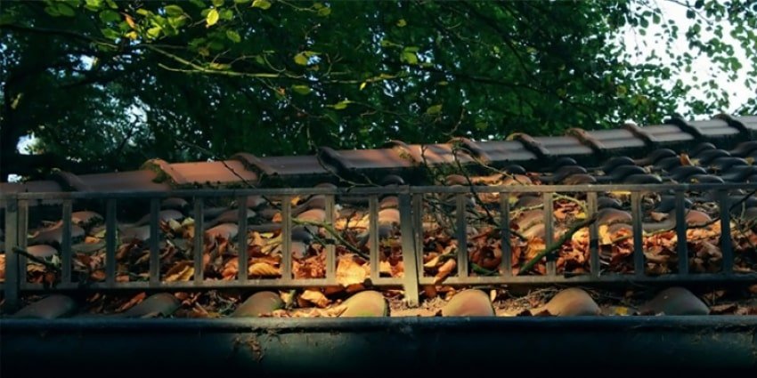 blog-clean-roof-in-autumn-min