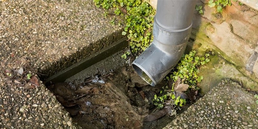 blog-poor-drainage-signs-min