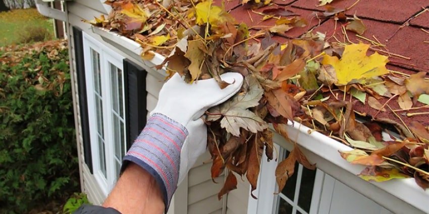 blog-why-clean-gutters-min