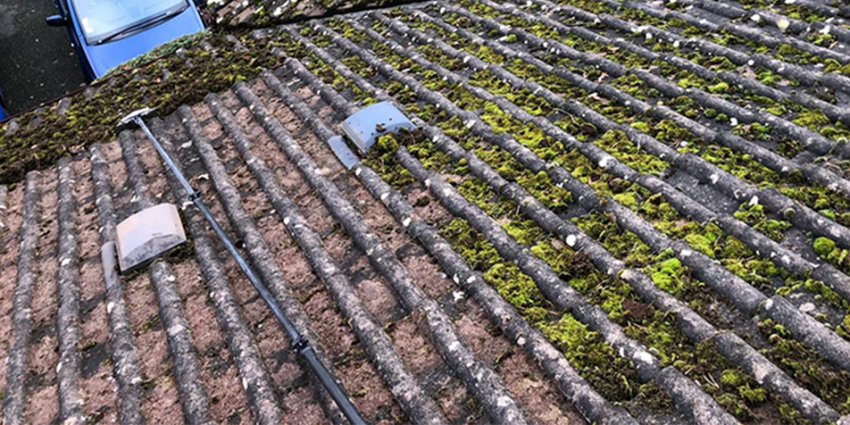 roof-cleaning